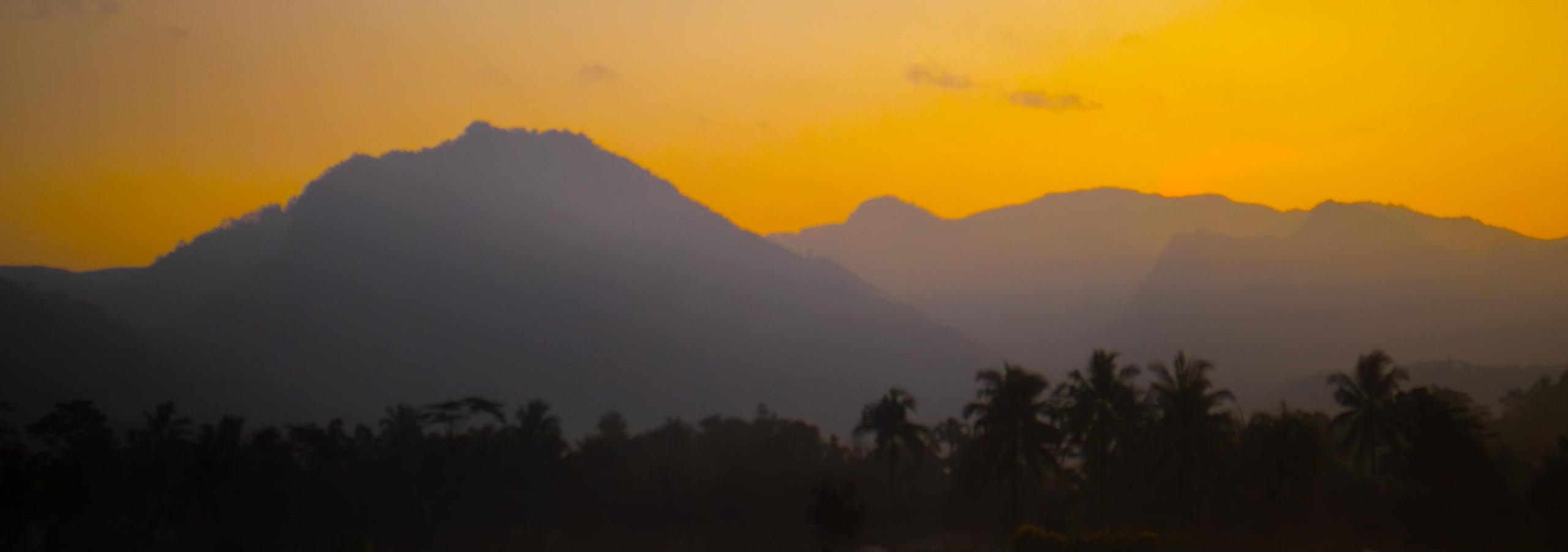 Jika Desaku Punya Museum Digital